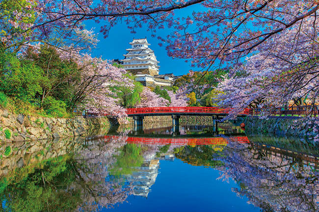 APP-1000-833 風景 桜咲く姫路城－兵庫 1000ピース ［CP-WH］ ［CP-SK