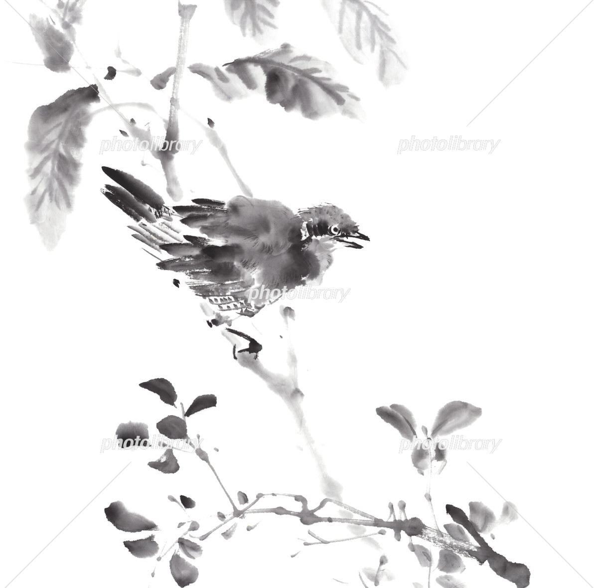 鳥 水墨画 イラスト素材 [6389884] - フォトライブラリー