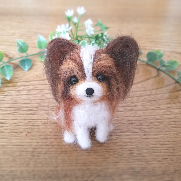送料無料】羊毛フェルト パピヨン♡犬 羊毛フェルト ♡ron♡ 通販