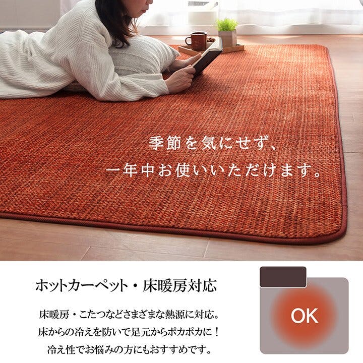 ノート ラグ カーペット マット 珊瑚マイヤ 洗える 滑りにくい