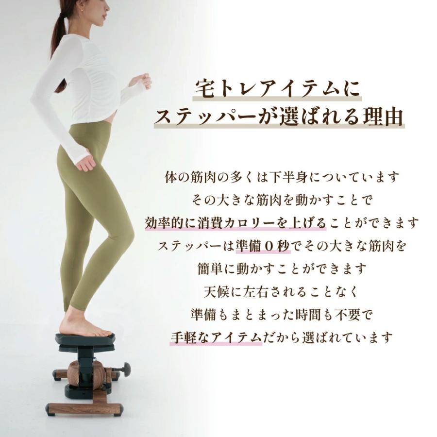 Re 【ツイストステッパー正規品】ツイストエアロステッパーPremium