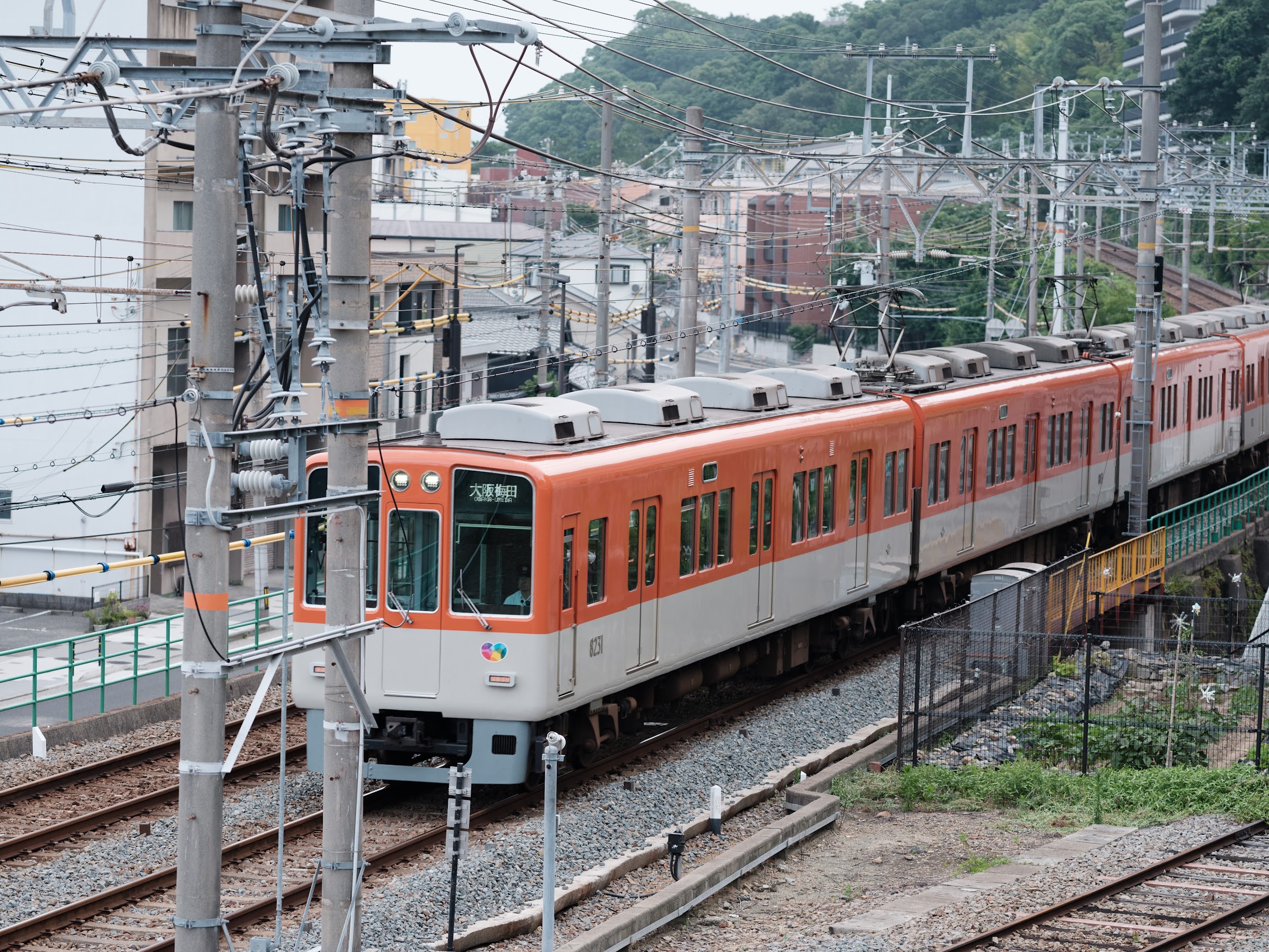 MAMIYA SEKOR A 150mmF2.8N試写 - shigiphoto days