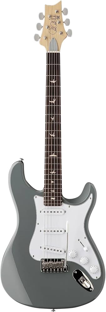 Amazon | SE Silver Sky Storm Gray | エレキギター | 楽器・音響機器