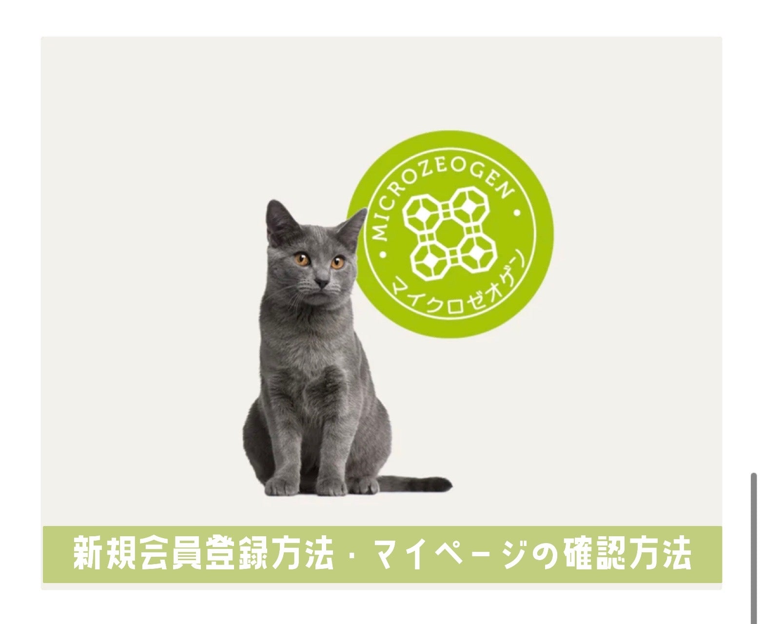 新規会員登録方法とマイページの確認方法について☆