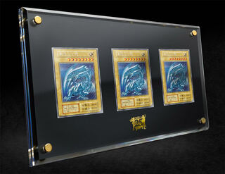 遊戯王 海馬セット」の激安通販 | magi