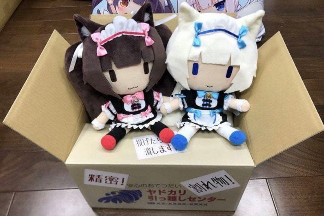 ネコぱら ショコラ バニラ ぬいぐるみ 輸送箱付き ネコぱら みにぬいぐるみ ショコラ/バニラ