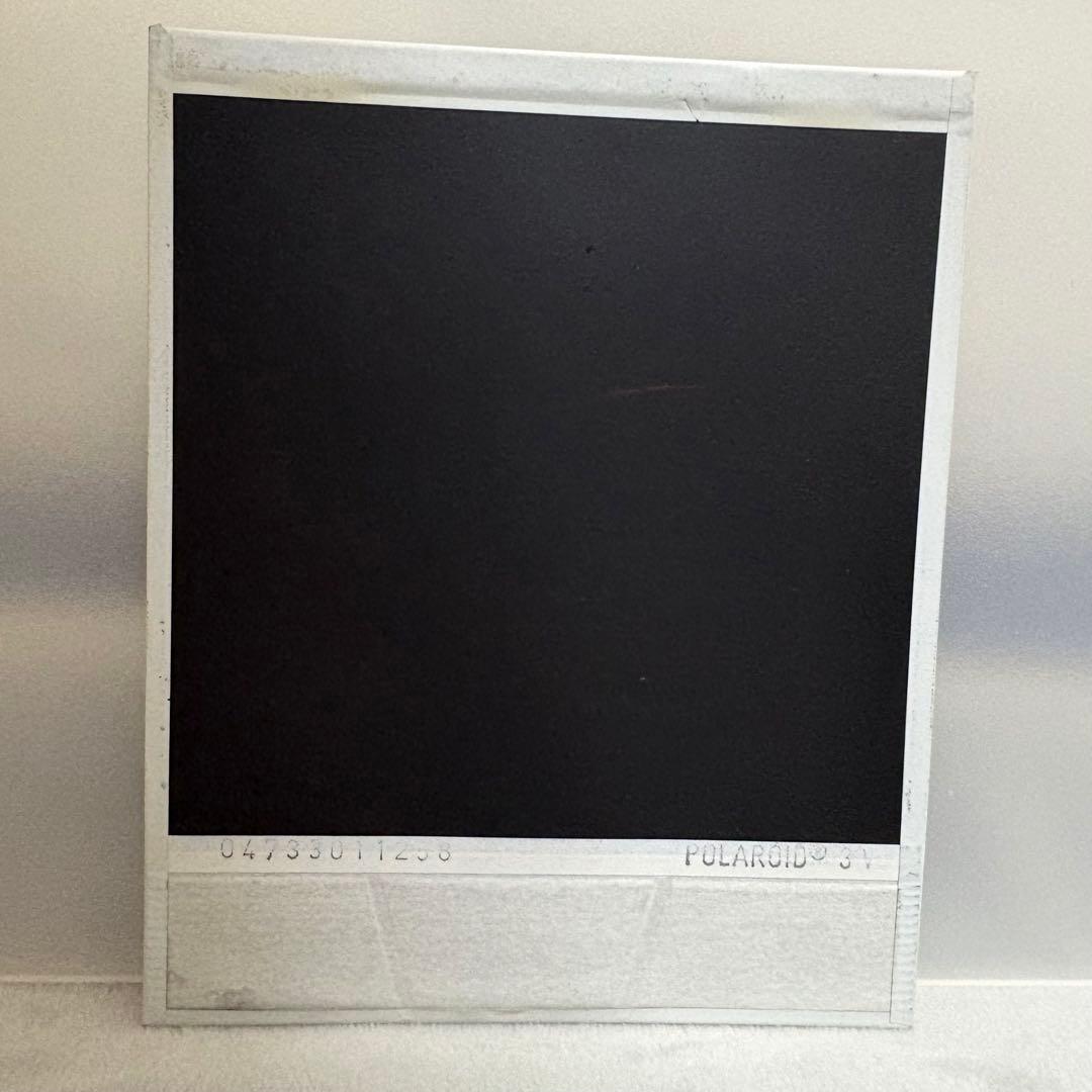 フラワーカンパニーズ 直筆サイン入りポラロイド 生写真 - メルカリ